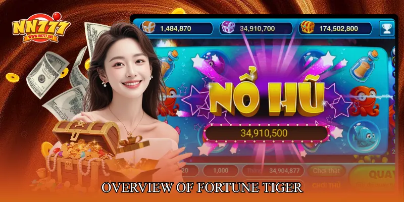 Overview Of Fortune Tiger