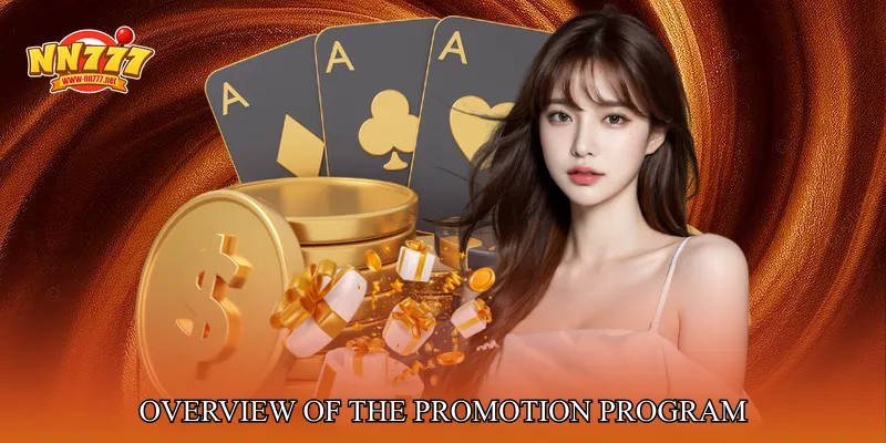Overview Of The Promotion Program